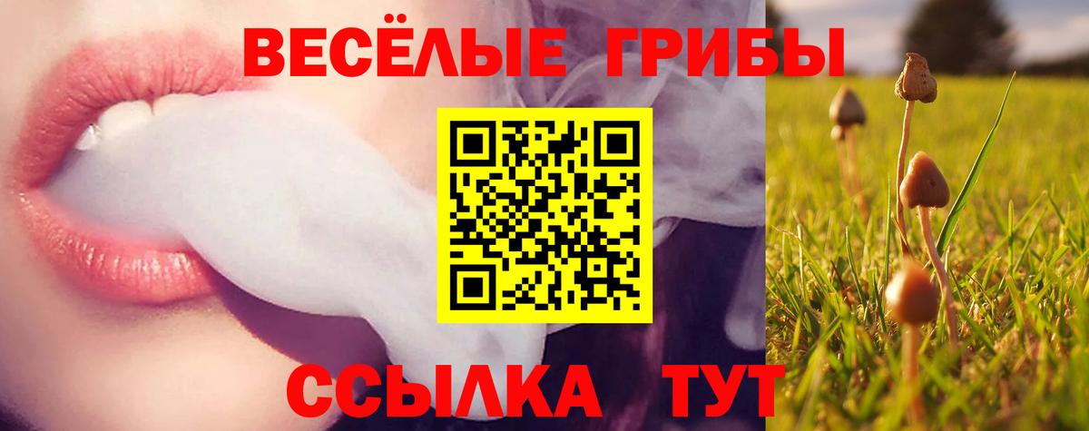 A PVP Урус-Мартан